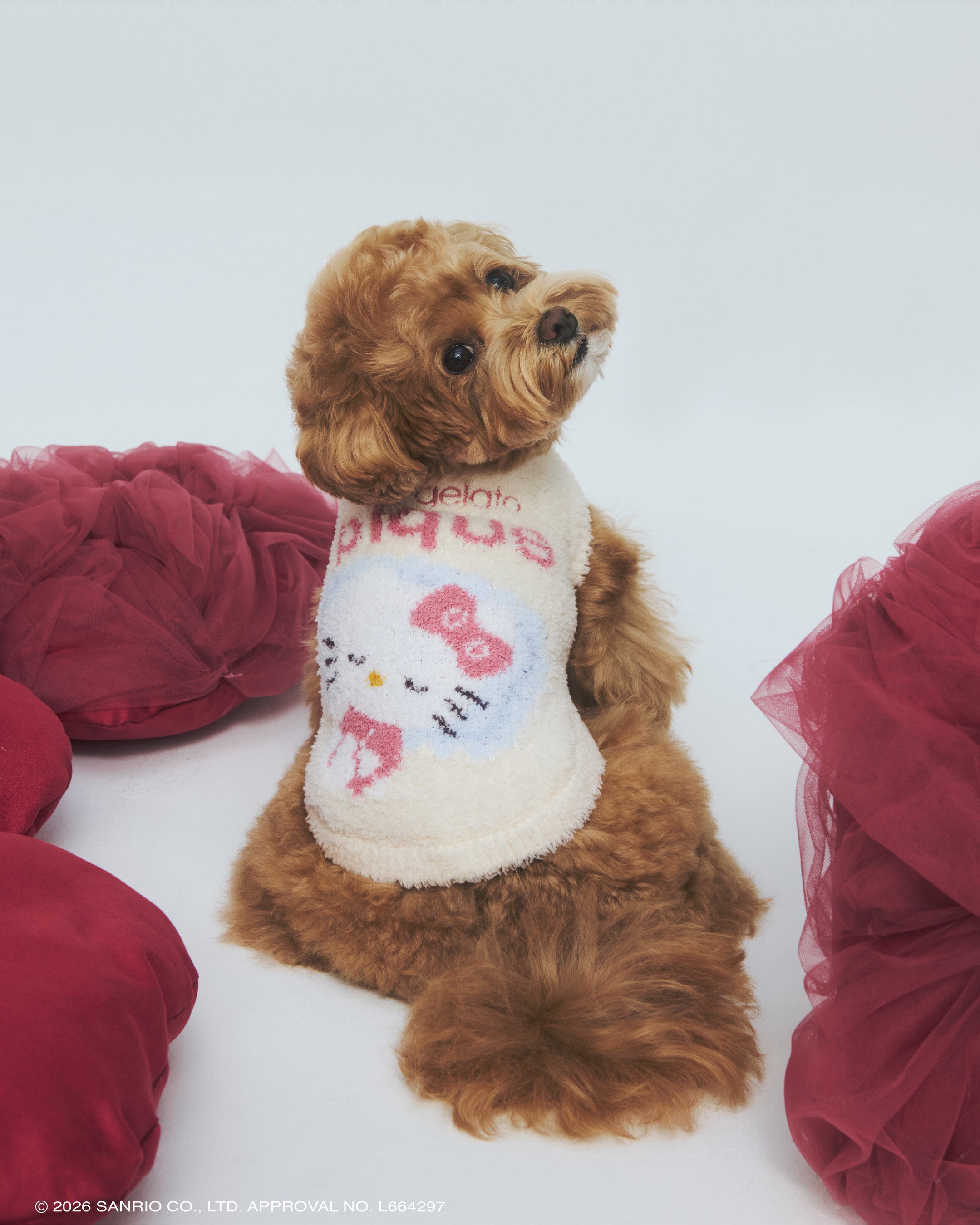 ペット用ジャガードプルオーバー。犬の着用例で、サイズ適合は個体ごとに確認。